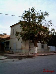 LE TELAGH AU FIL DES RUES 02
